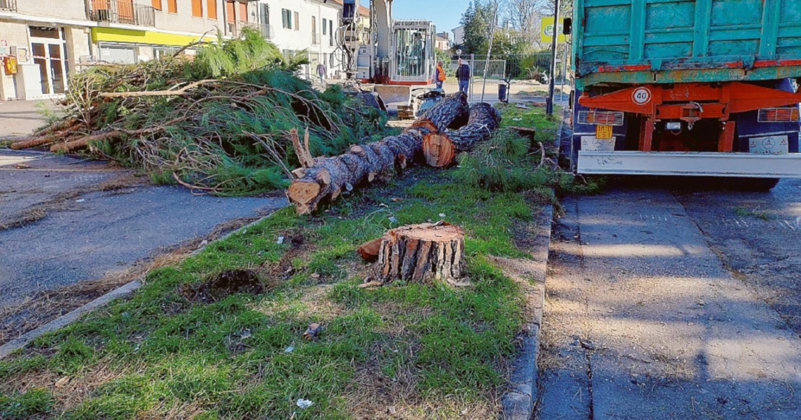 Un brutto, bruttissimo consiglio comunale. Poi le motoseghe
