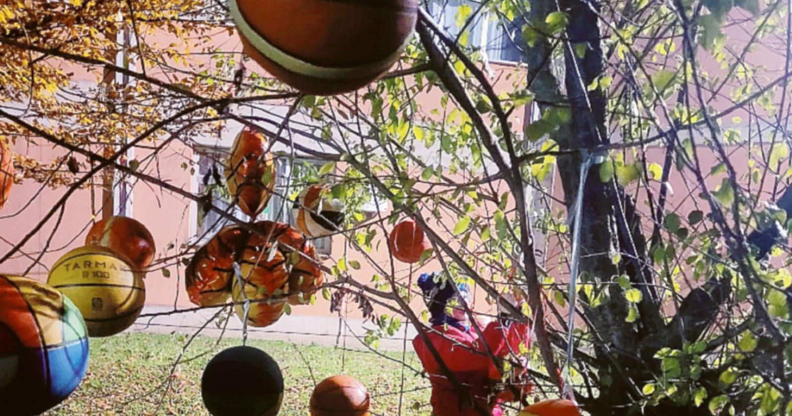 Questi sì che sono alberi con le palle!