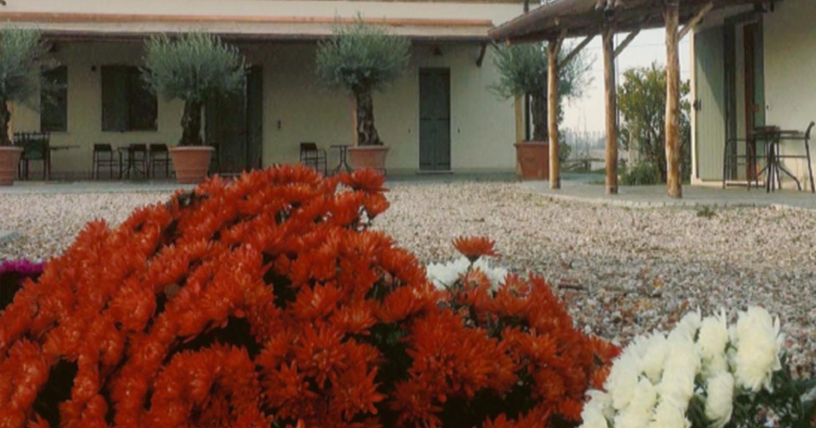 Un viaggio nel vino a Corte Benetti