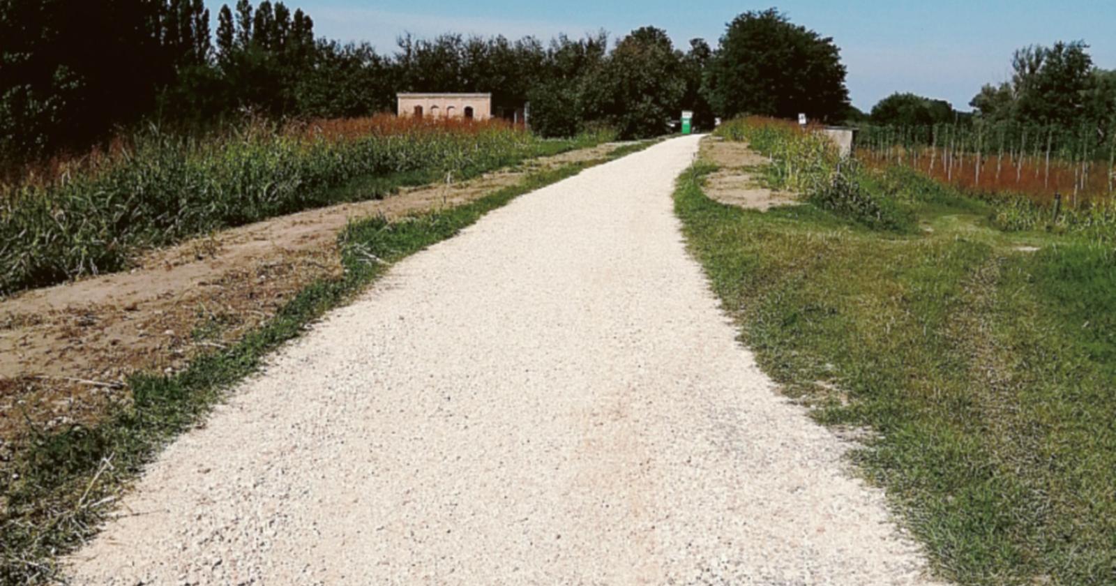 Destra Adige, si entra nella fase 2