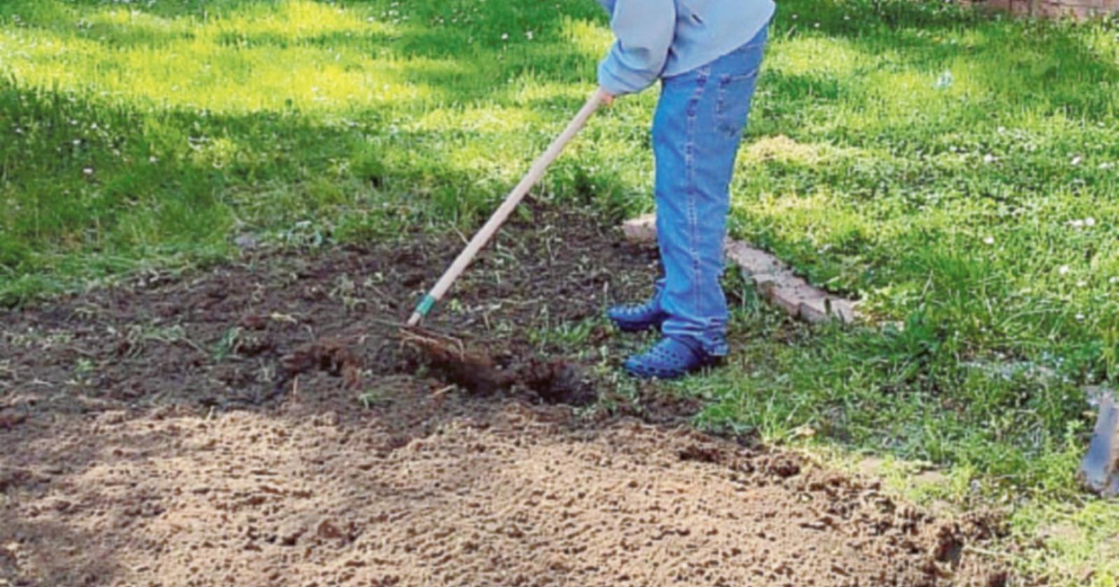 Gli orti urbani sono pronti a fiorire