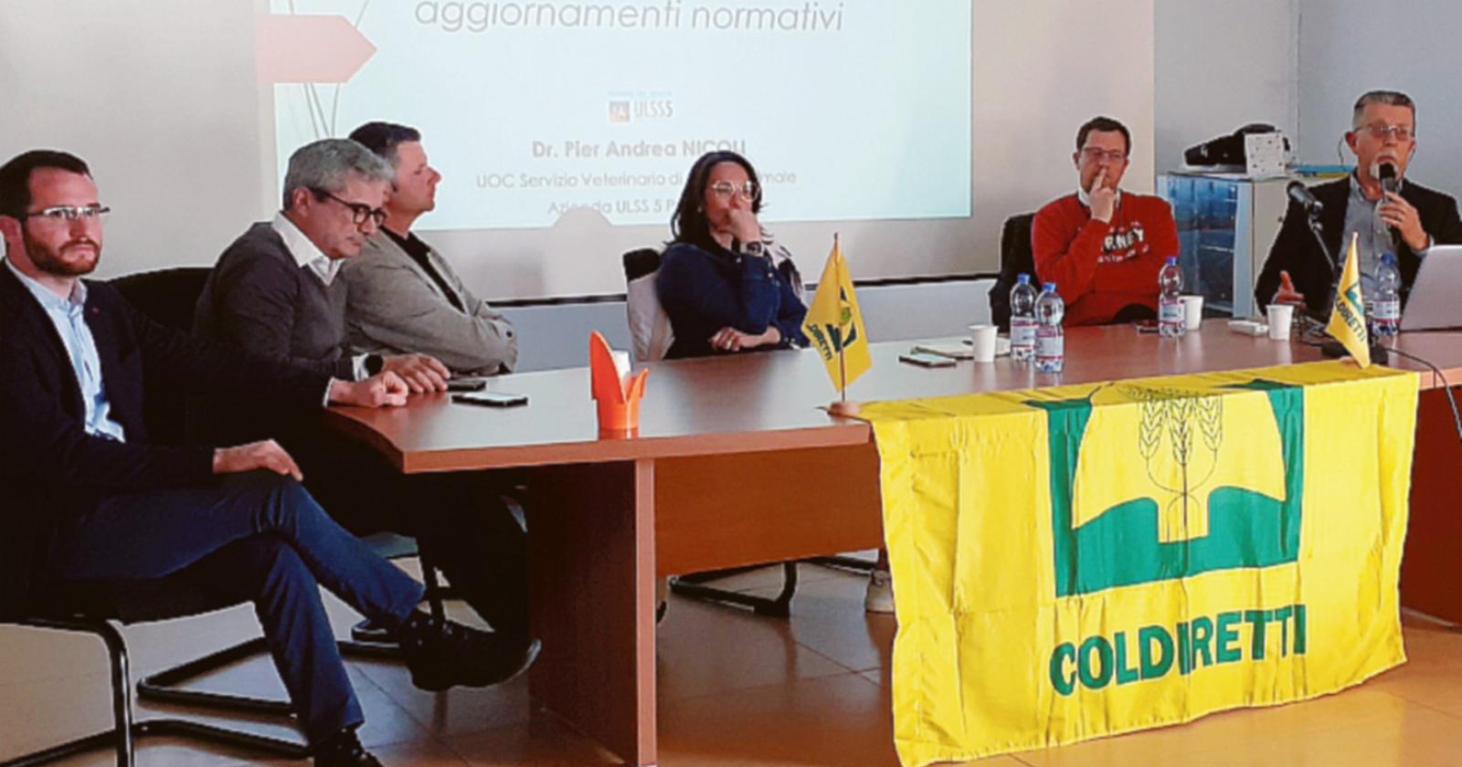 Allarme aviaria: guardia altissima s