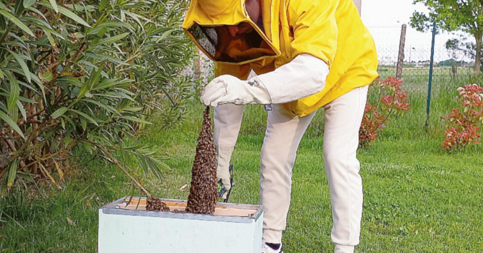 Ci pensano loro: i Bee Buster