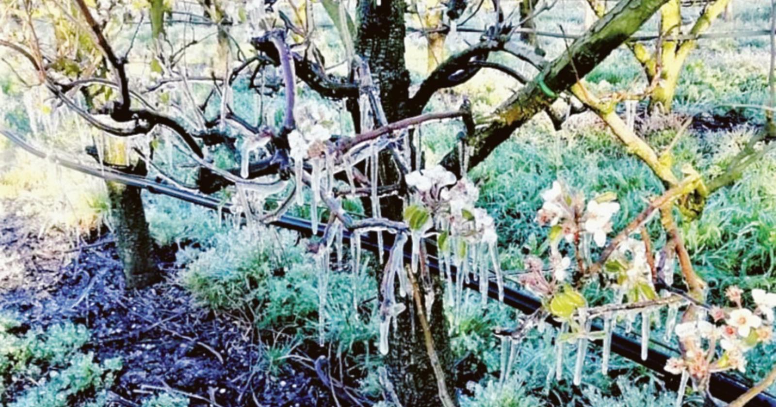 Agricoltura, congelati pure i ristori