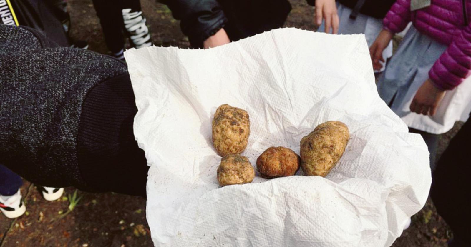 Tartufo, una legge per valorizzarlo