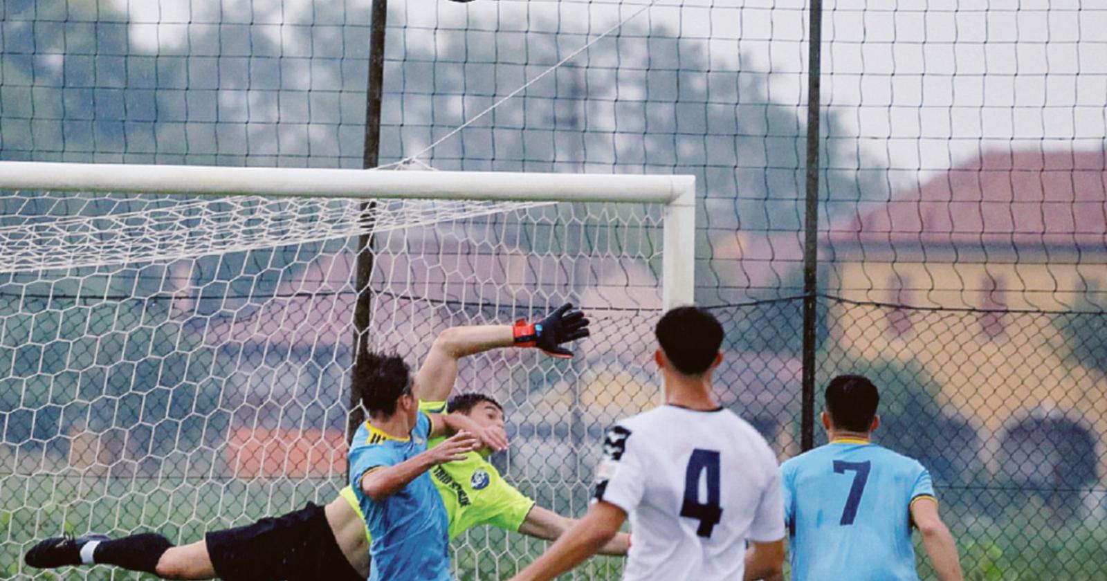 Rovigo, calma e sangue freddo