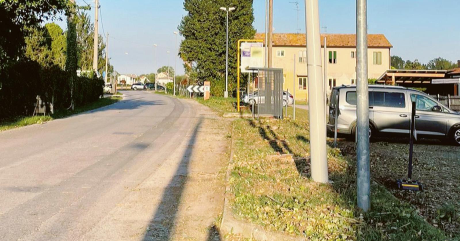 Pioppi tagliati, rabbia dei residenti