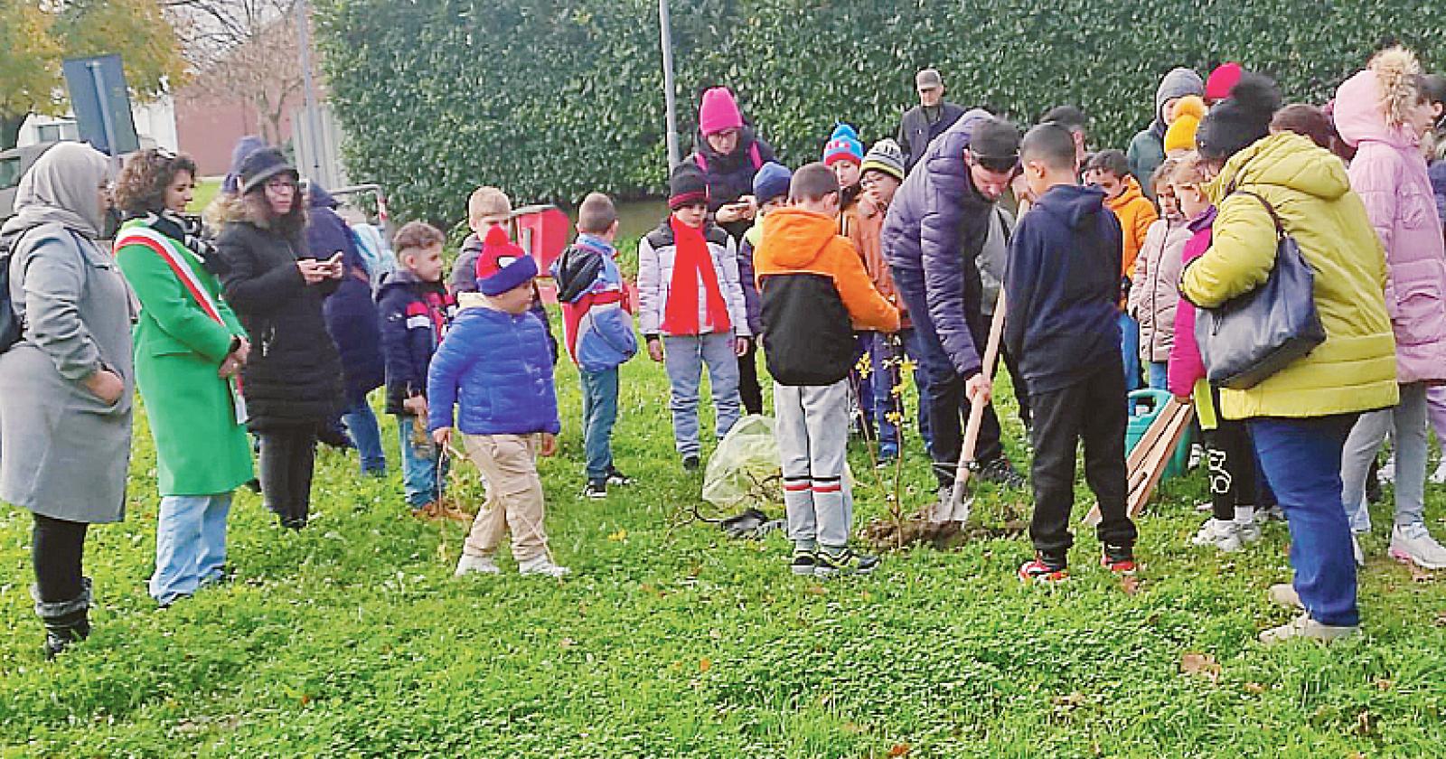Amici verdi che ci fanno stare bene