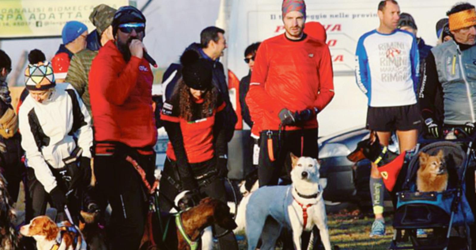 Tutti di corsa a Santo Stefano