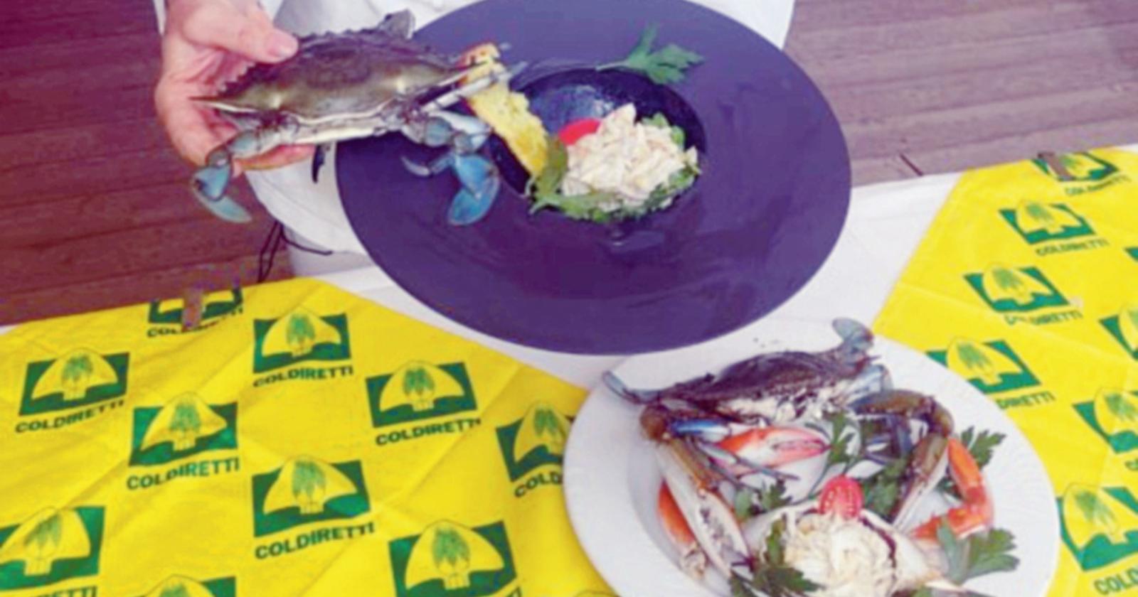 Il granchio arriva al mercato