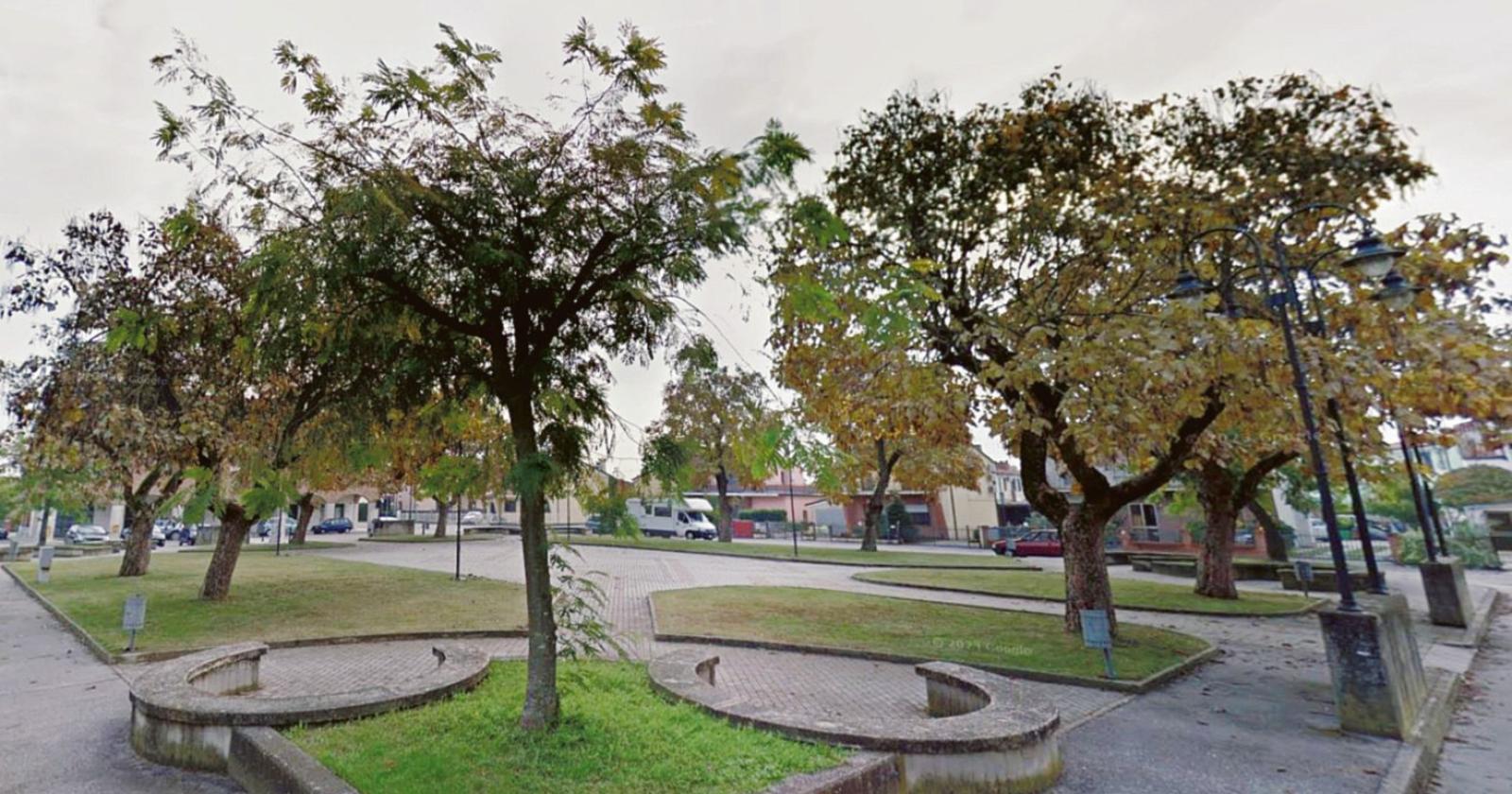 Nuovi alberi per piazza San Luca