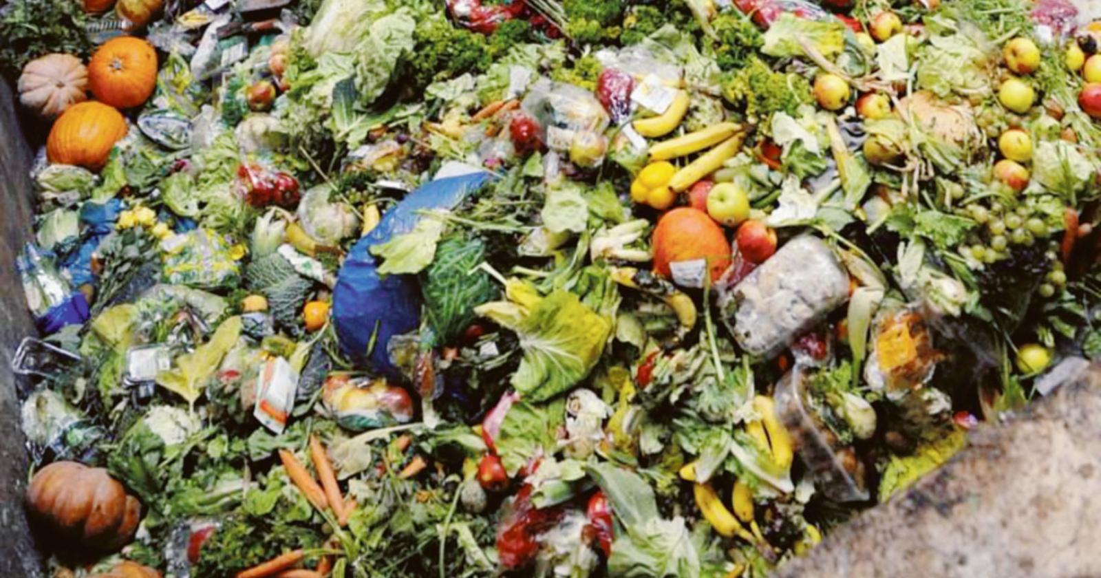 Cibo buttato, un doppio spreco