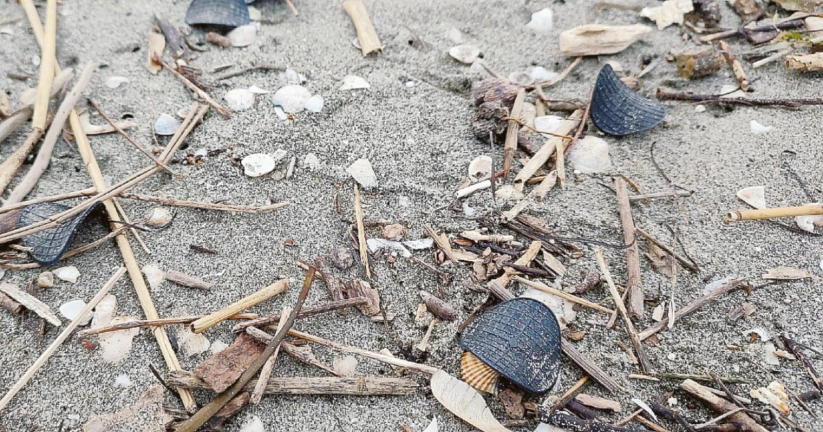 Spiagge di nuovo invase dai dischetti misteriosi