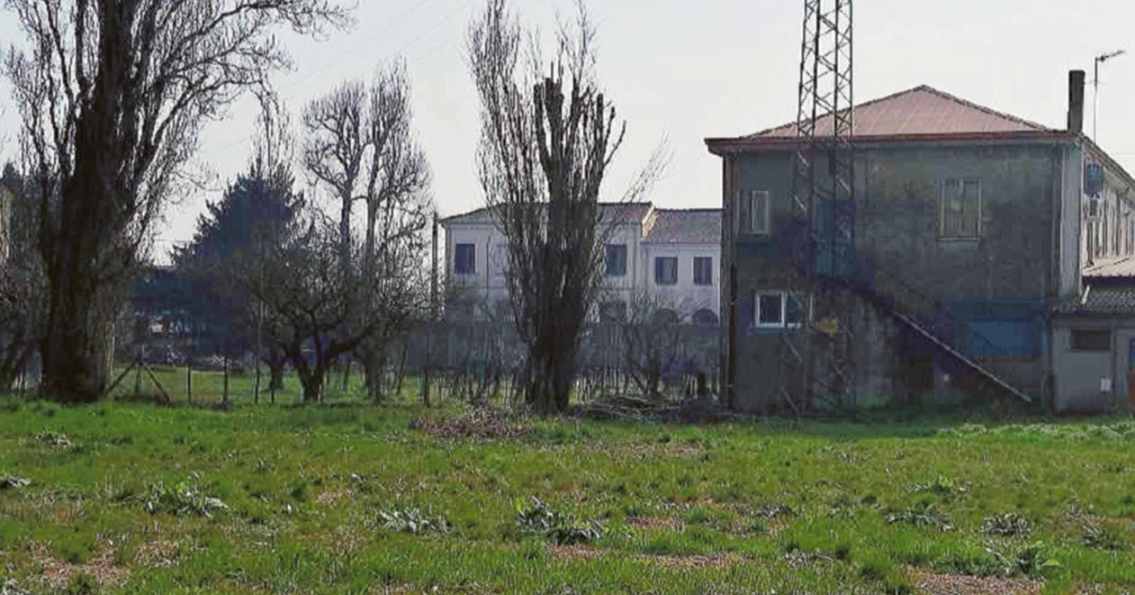 Colpi di carabina contro i gatti: “Dobbiamo fermare il mostro”