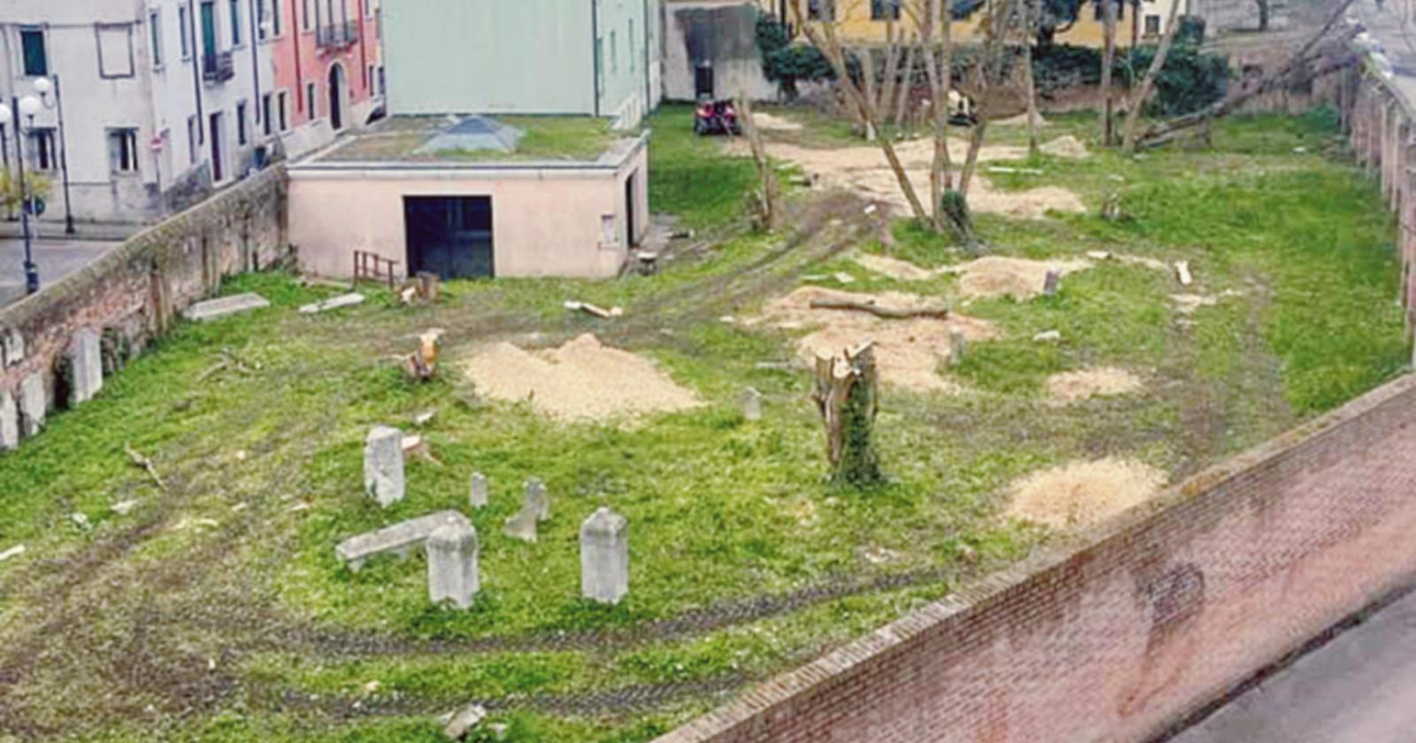 Cimitero ebraico, addio alberi