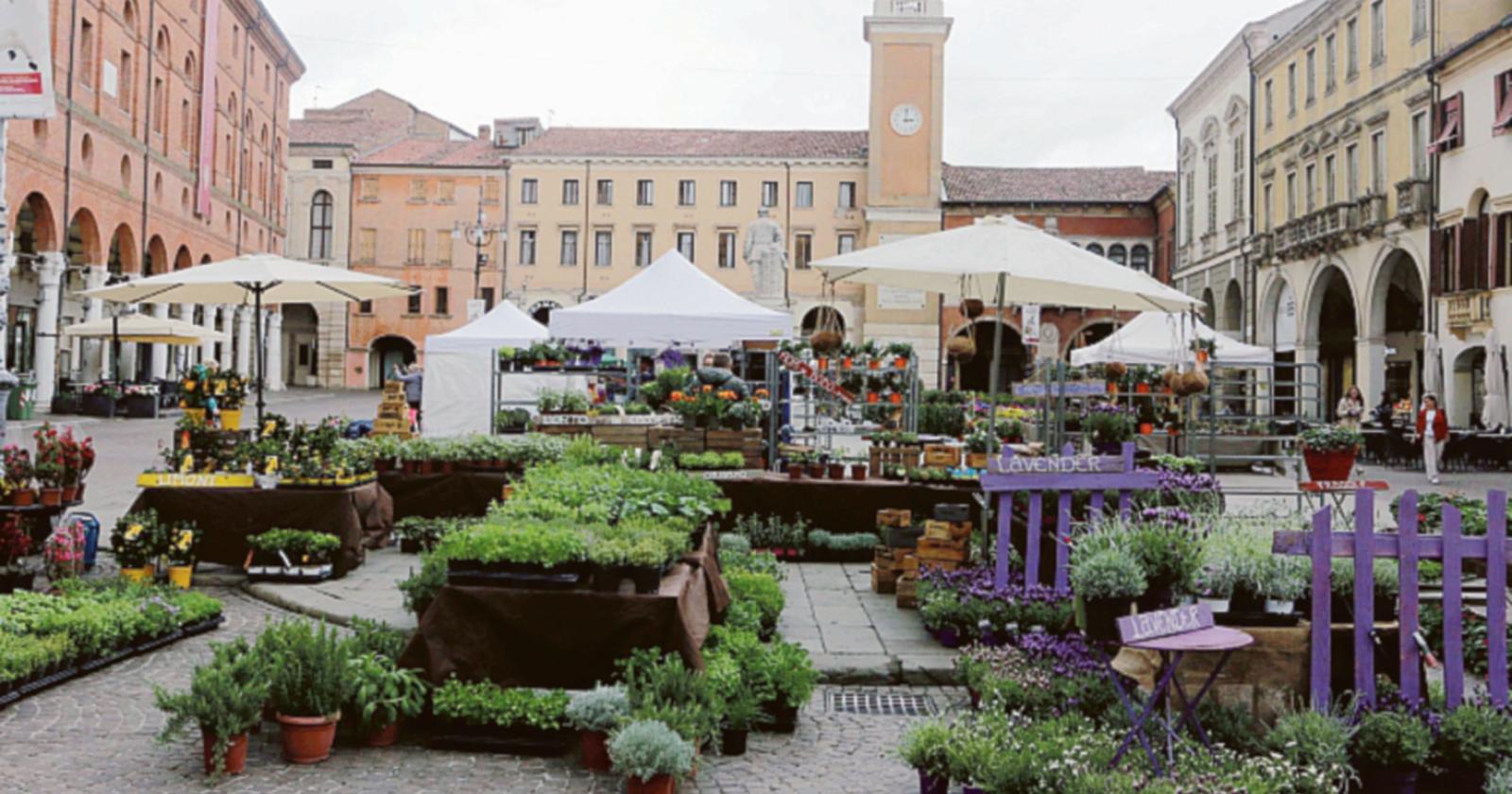 Domenica tra fiori e musica 