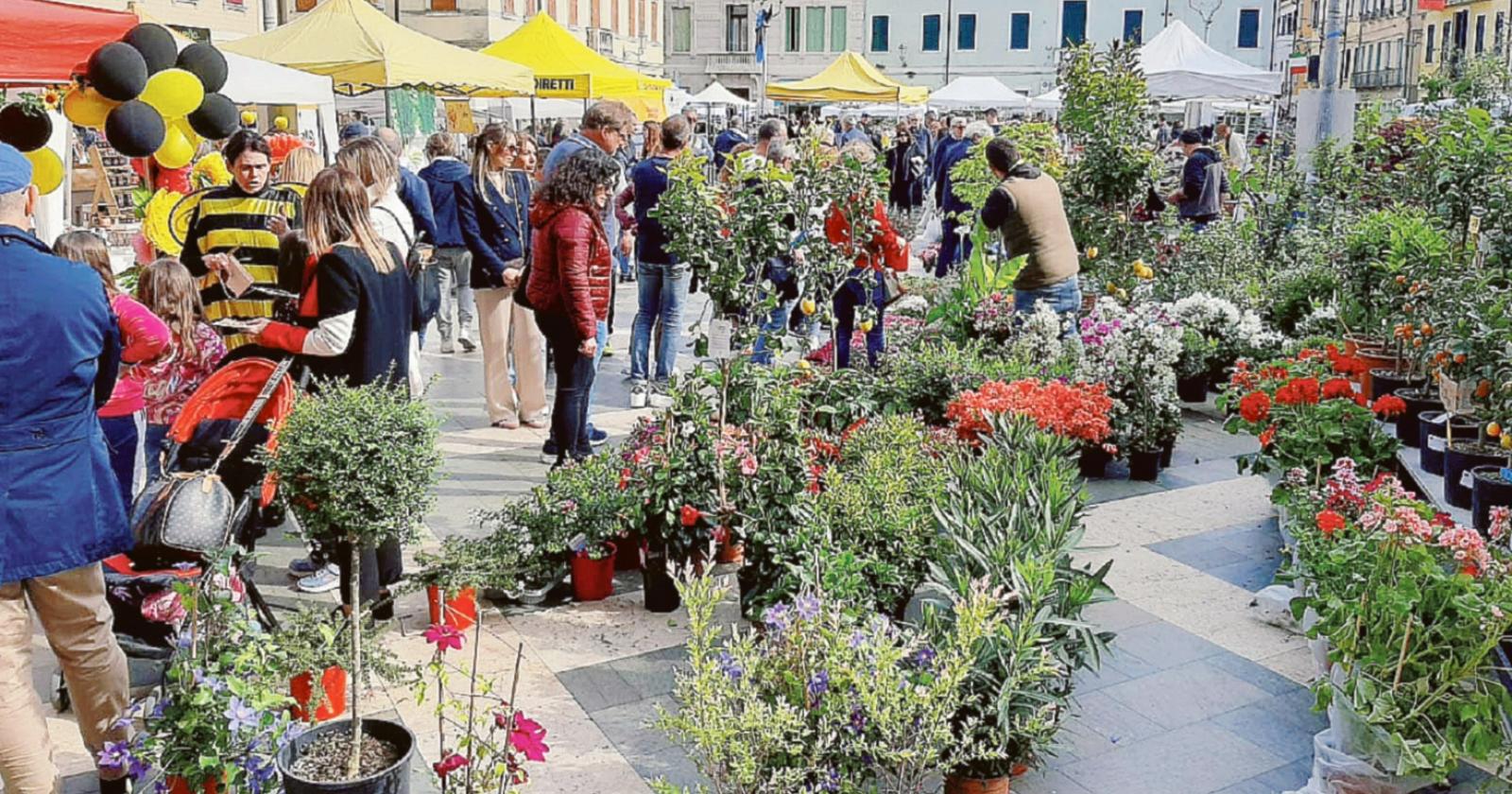 E’ la domenica di “Adria in fiore”