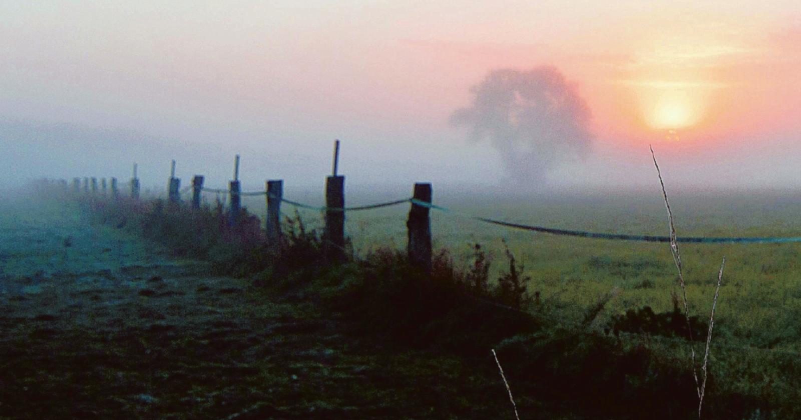 I campioni della nebbia siamo noi