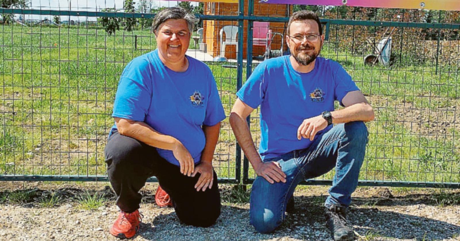 Un centro per addestrare i cani