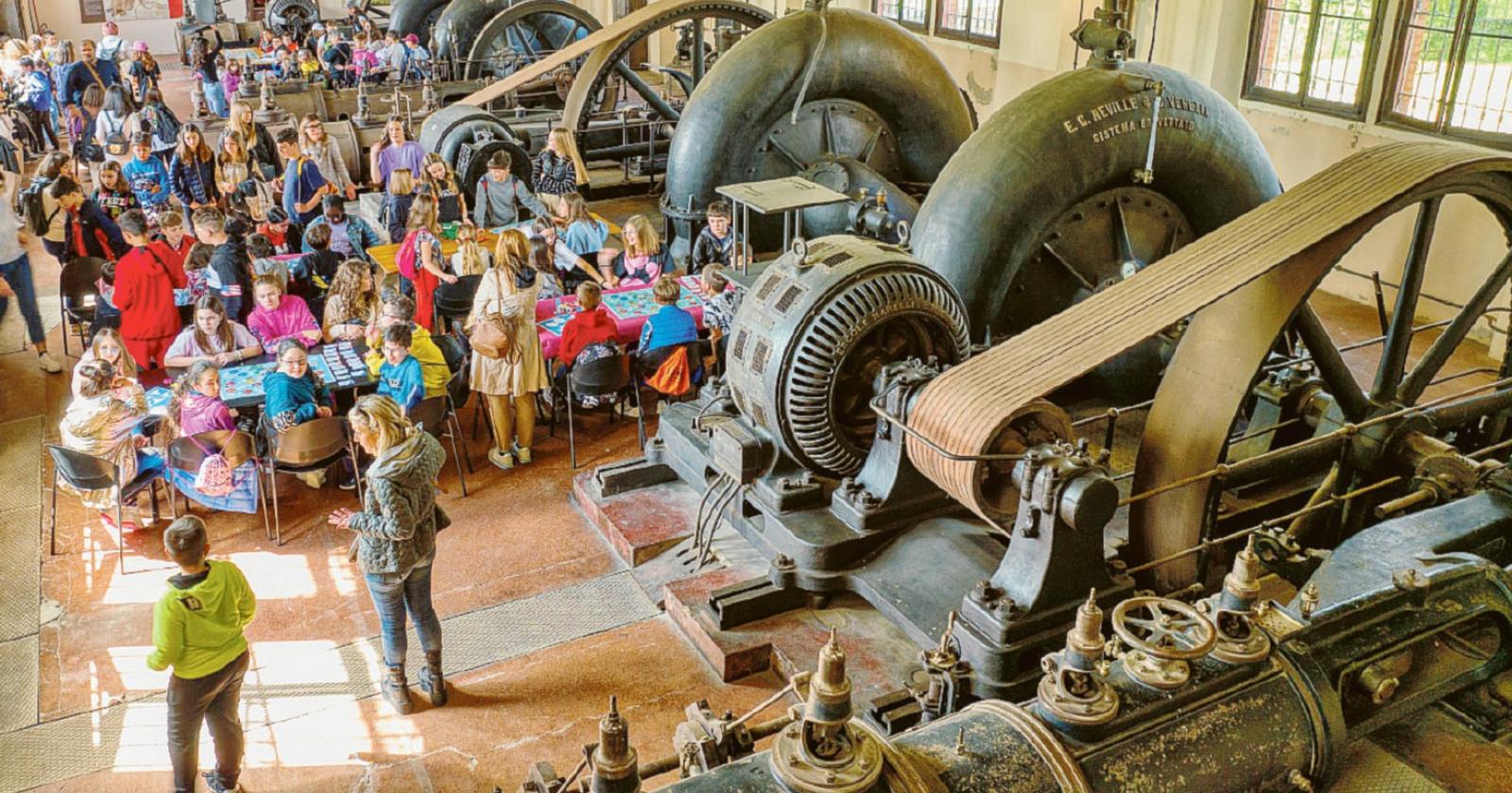 Giovani fra ambiente e formazione