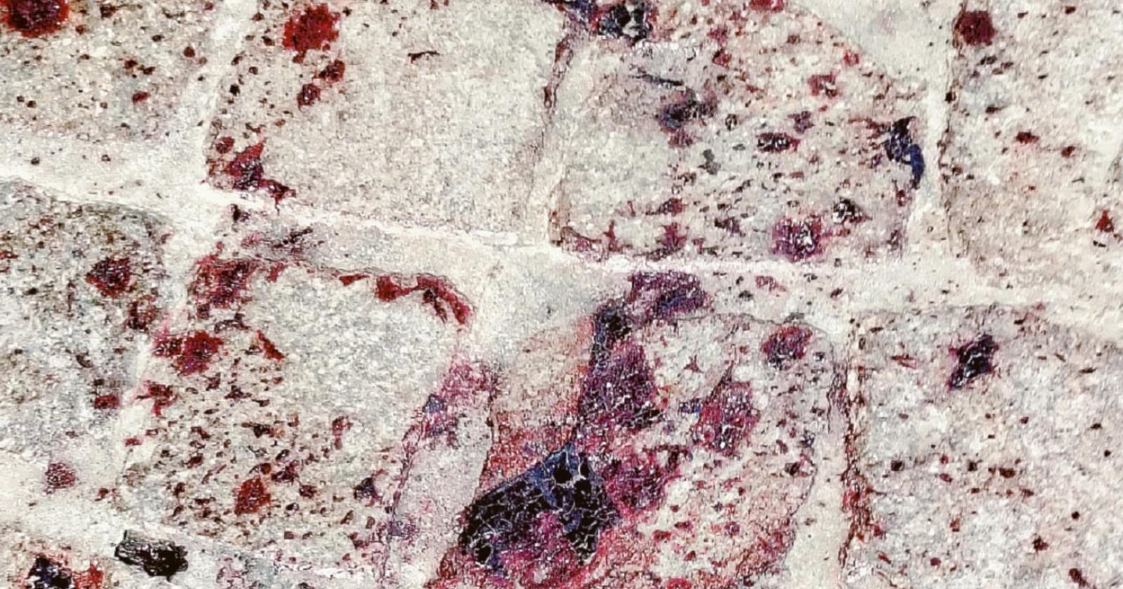 Botte e sangue in piazza Cavour