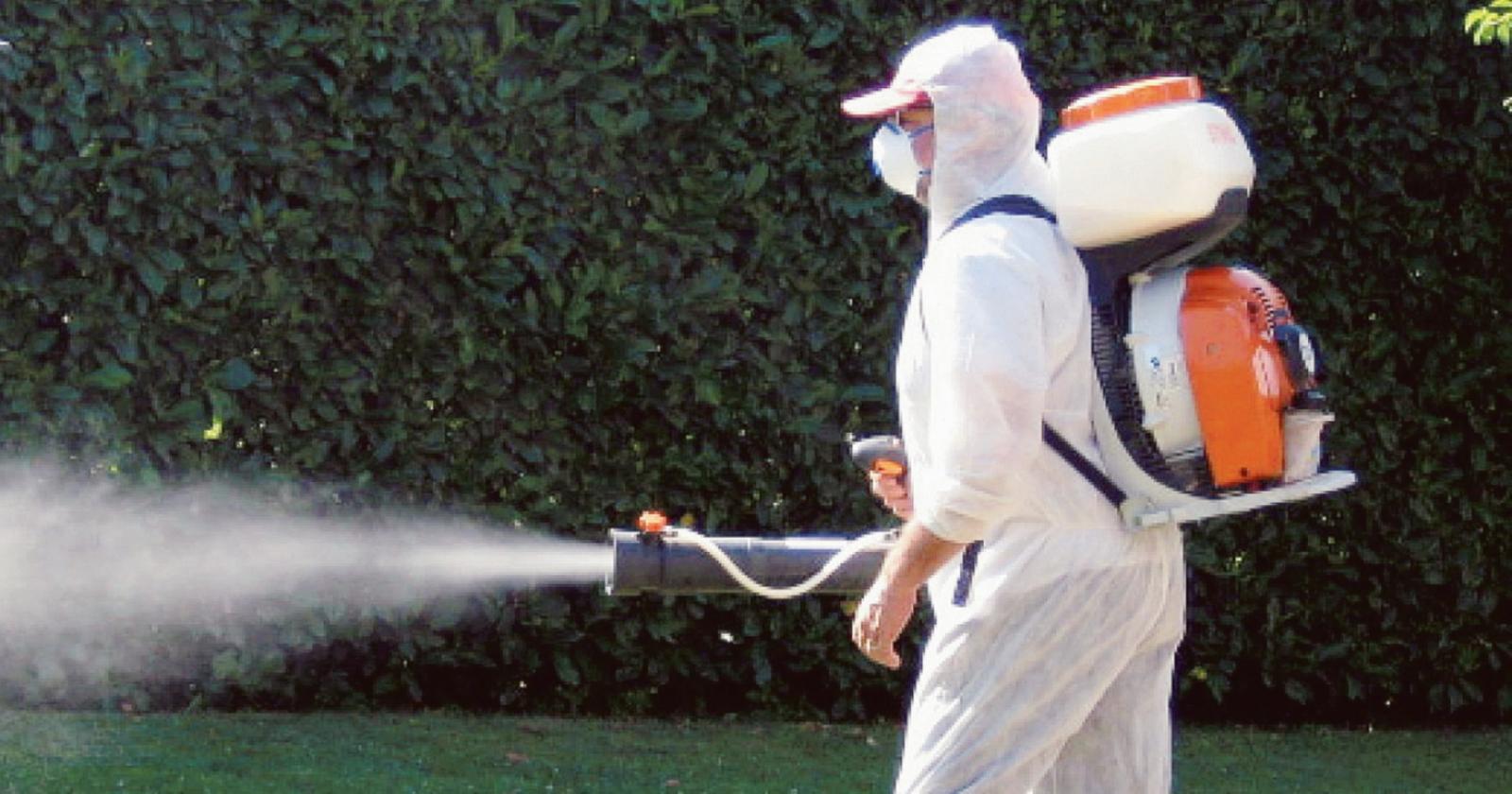 Chikungunya, zanzare nel mirino