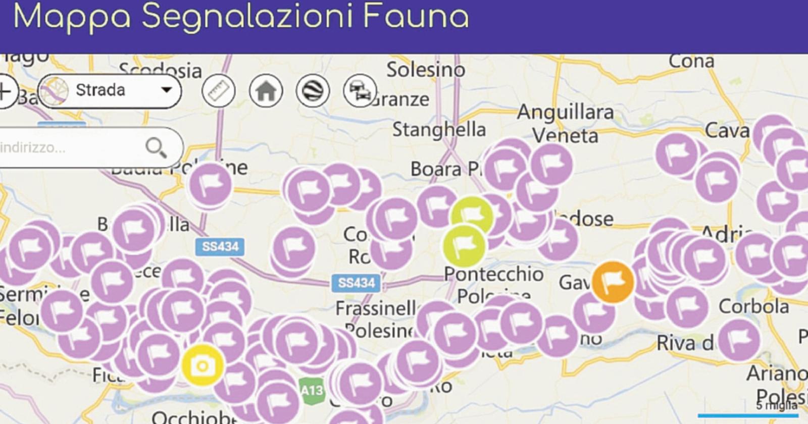 Arriva la app per segnalare tutte le nutrie del Polesine
