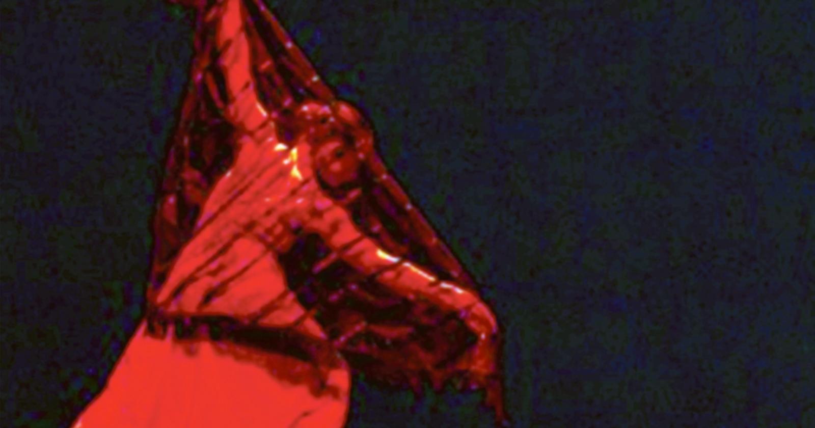 La danza si prende il Comunale