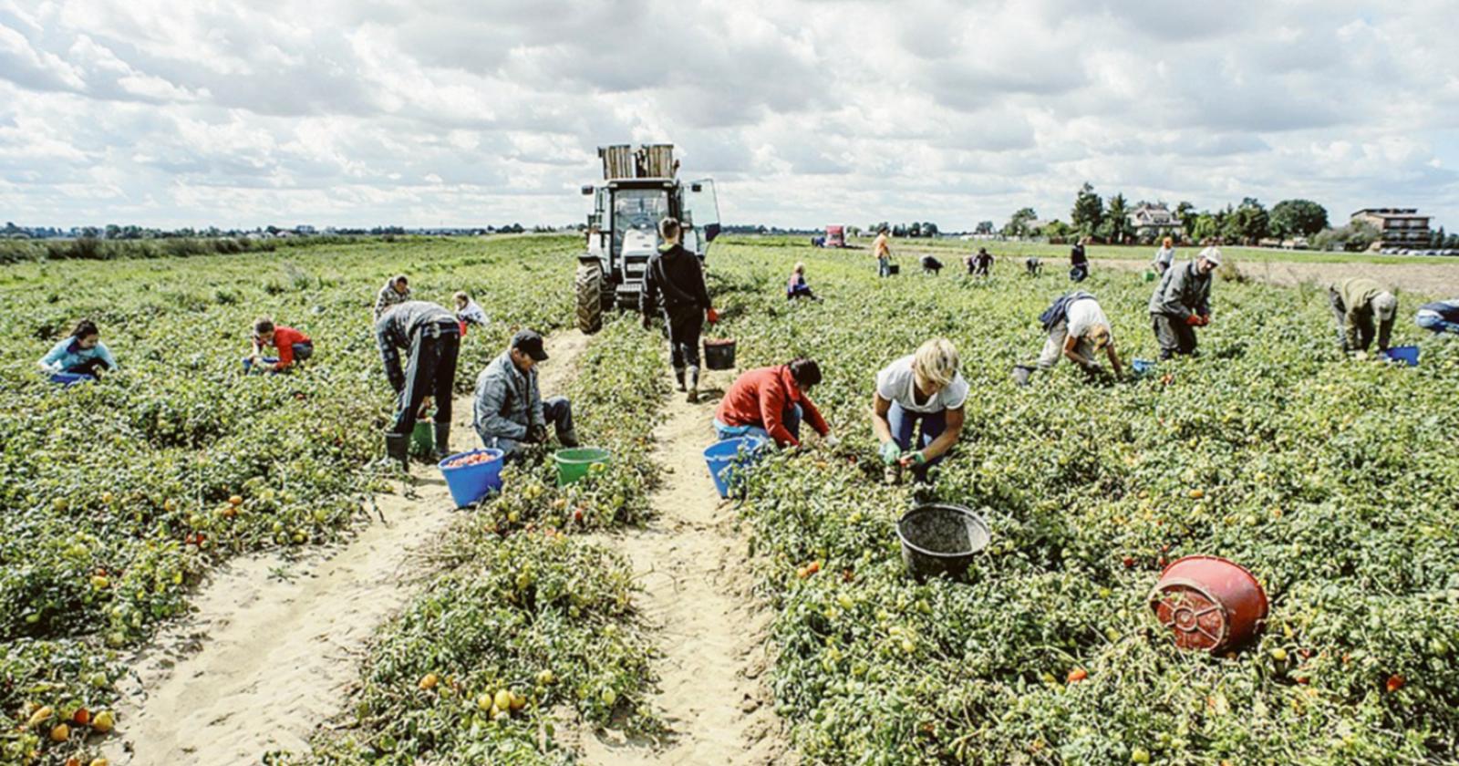 &ldquo;Tutelare la dignit&agrave; del lavoro&rdquo;
