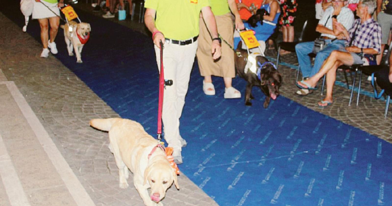 Una serata per gli amici a 4 zampe