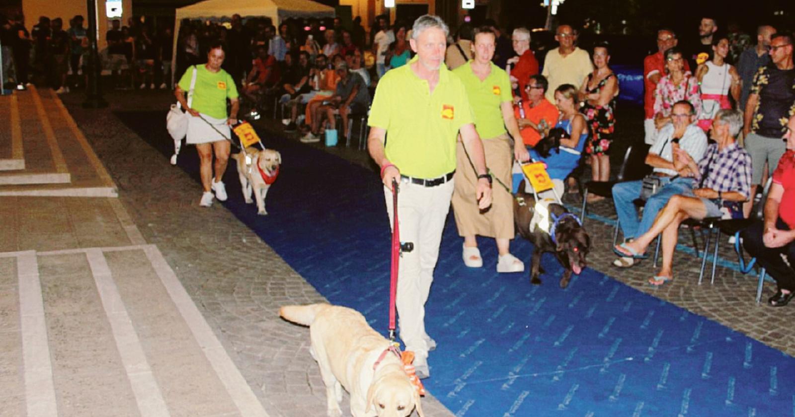 Sfilata dedicata ai quattro zampe