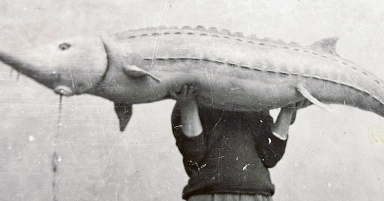 Nel Delta l&rsquo;incontro tra due geni