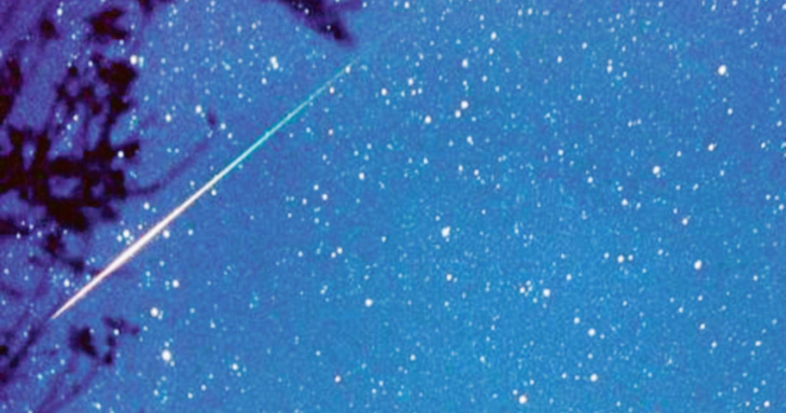 Si va alla scoperta delle stelle
