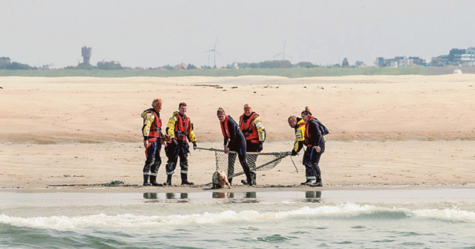 Pi&ugrave; sicuri sulle nostre spiagge
