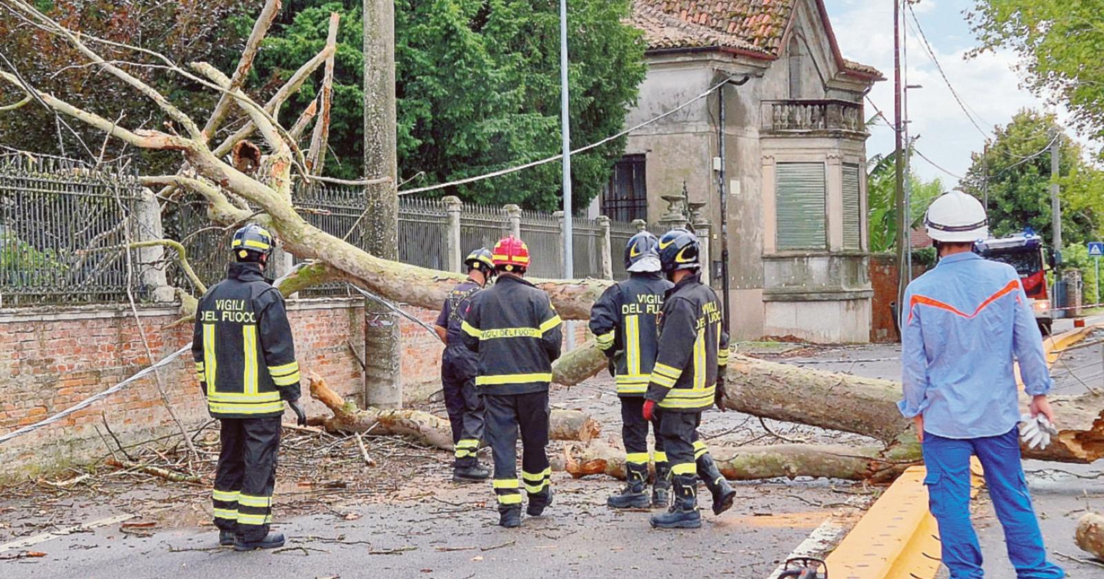 Grandine: agricoltura in ginocchio