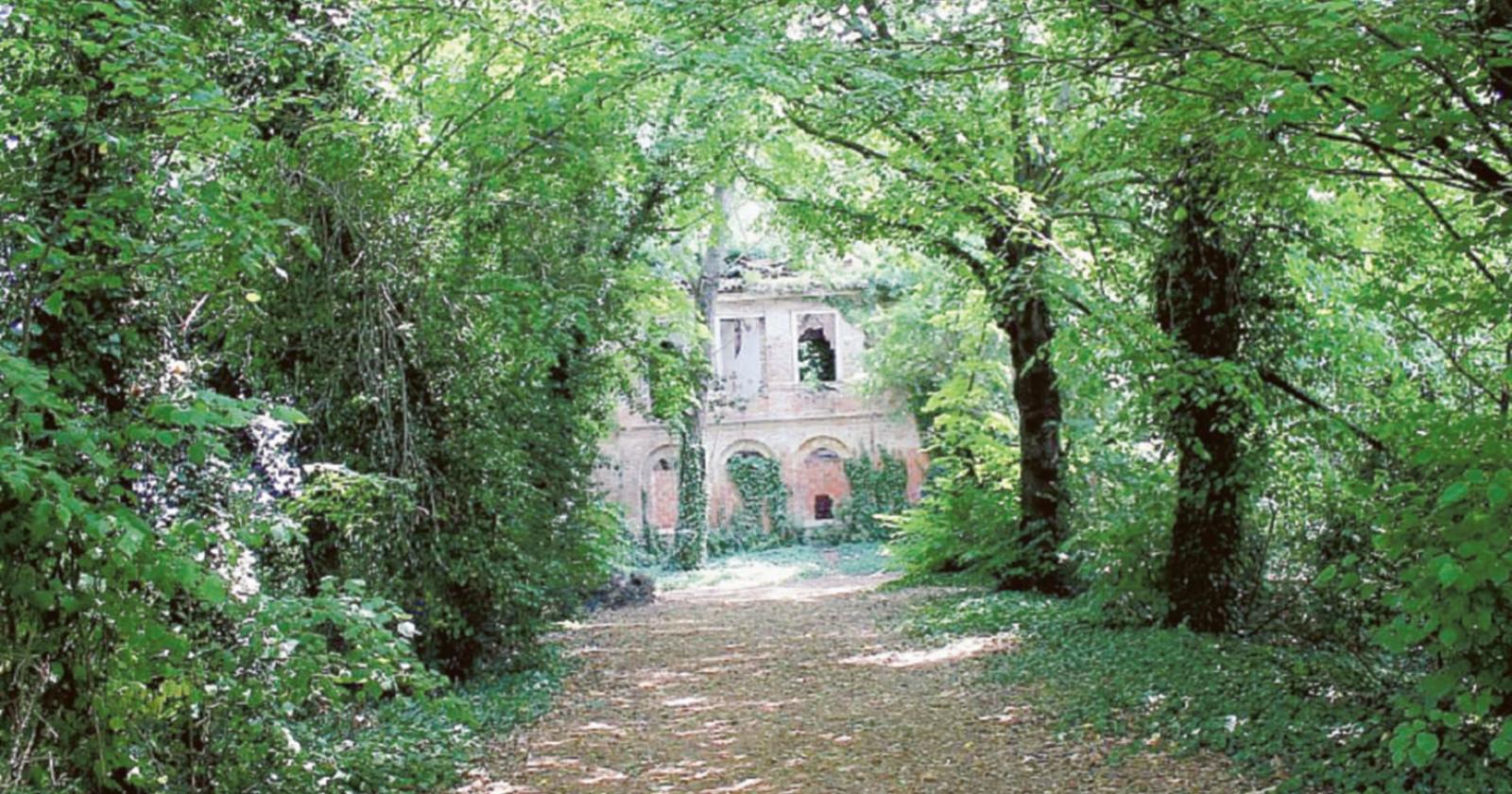 Botta e risposta sulla cura del verde
