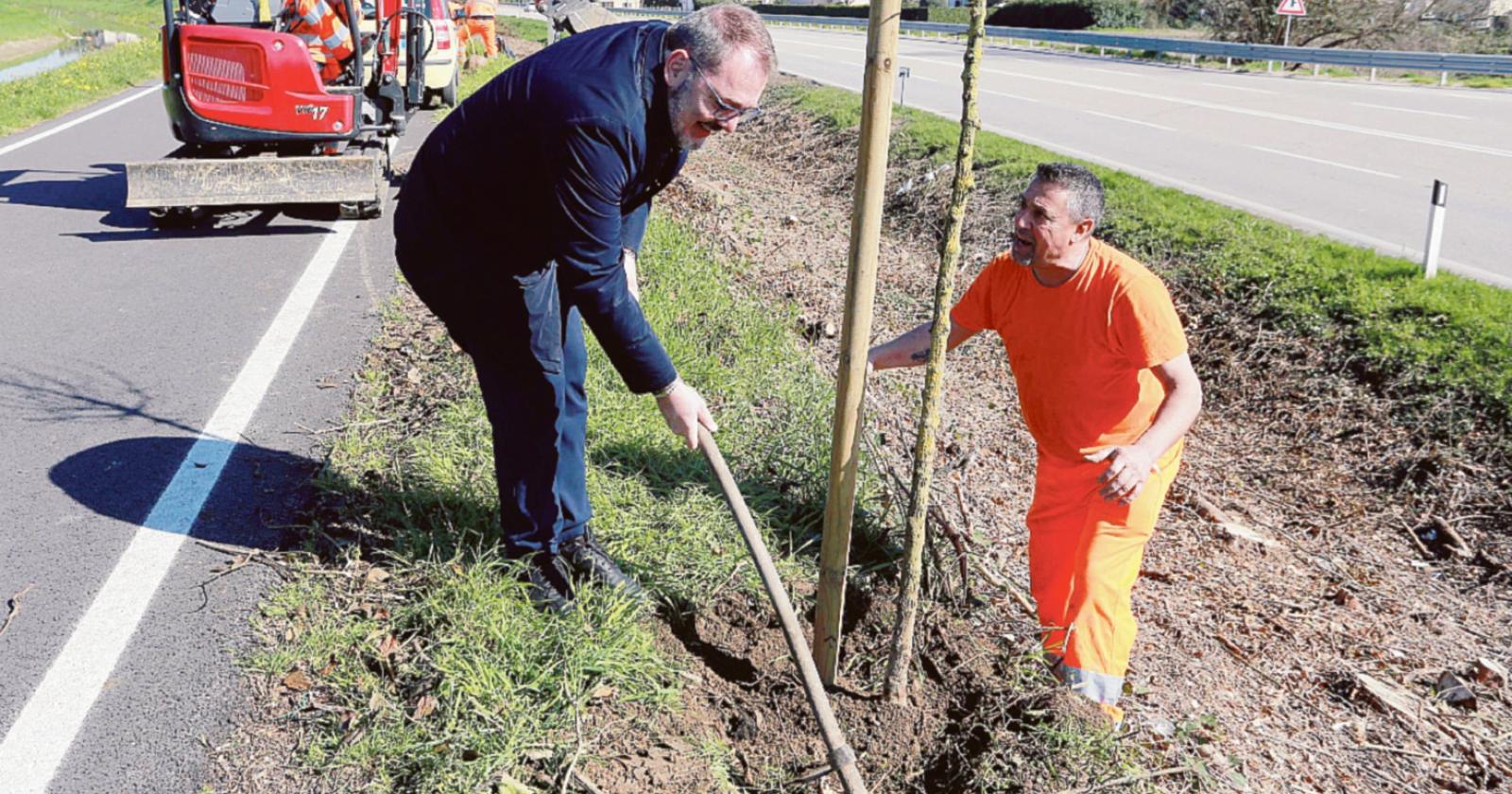 Verde, &ldquo;altro che Citt&agrave; delle Rose&rdquo;