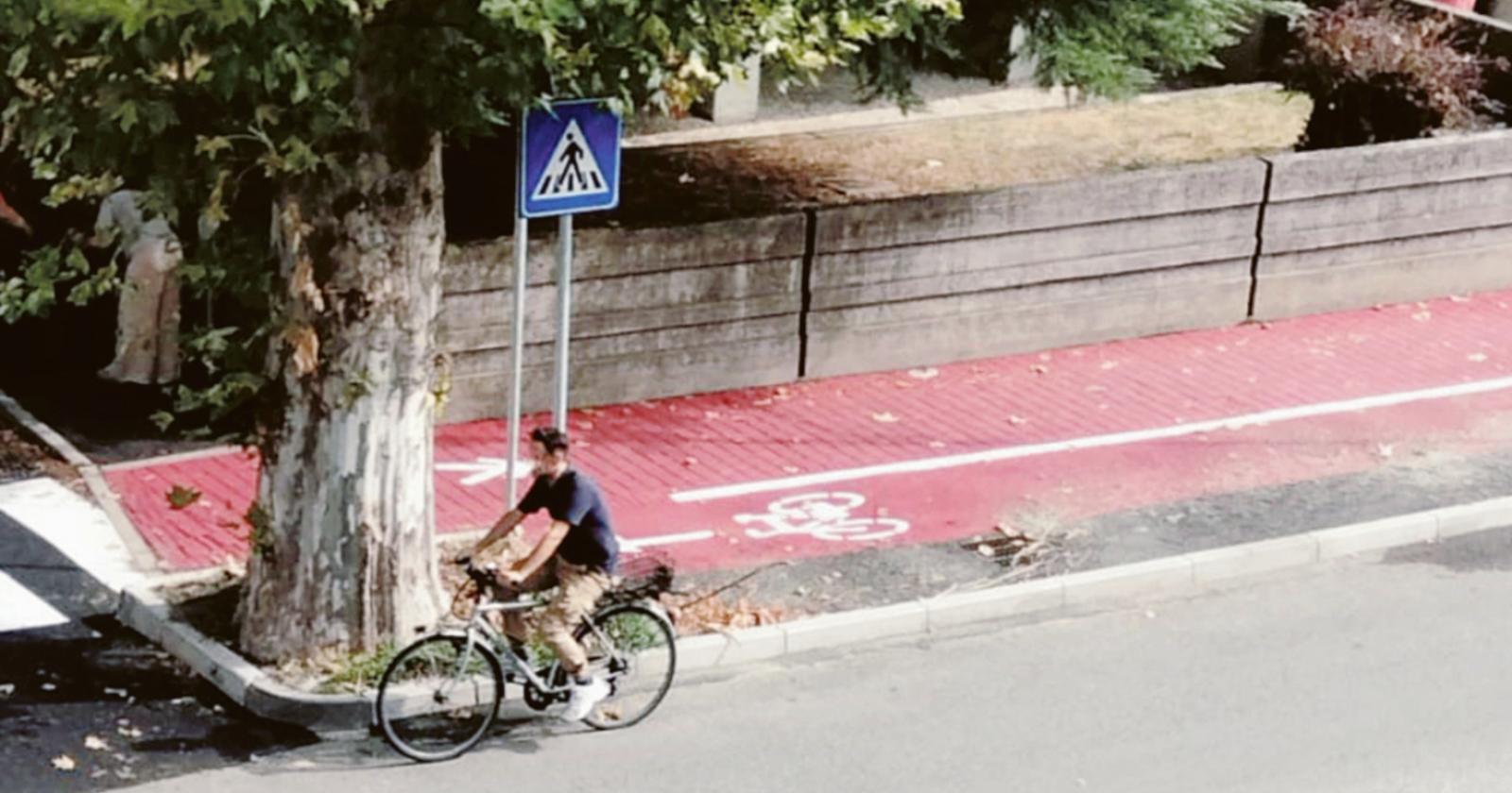 "Una ciclabile che finisce contro un albero..."