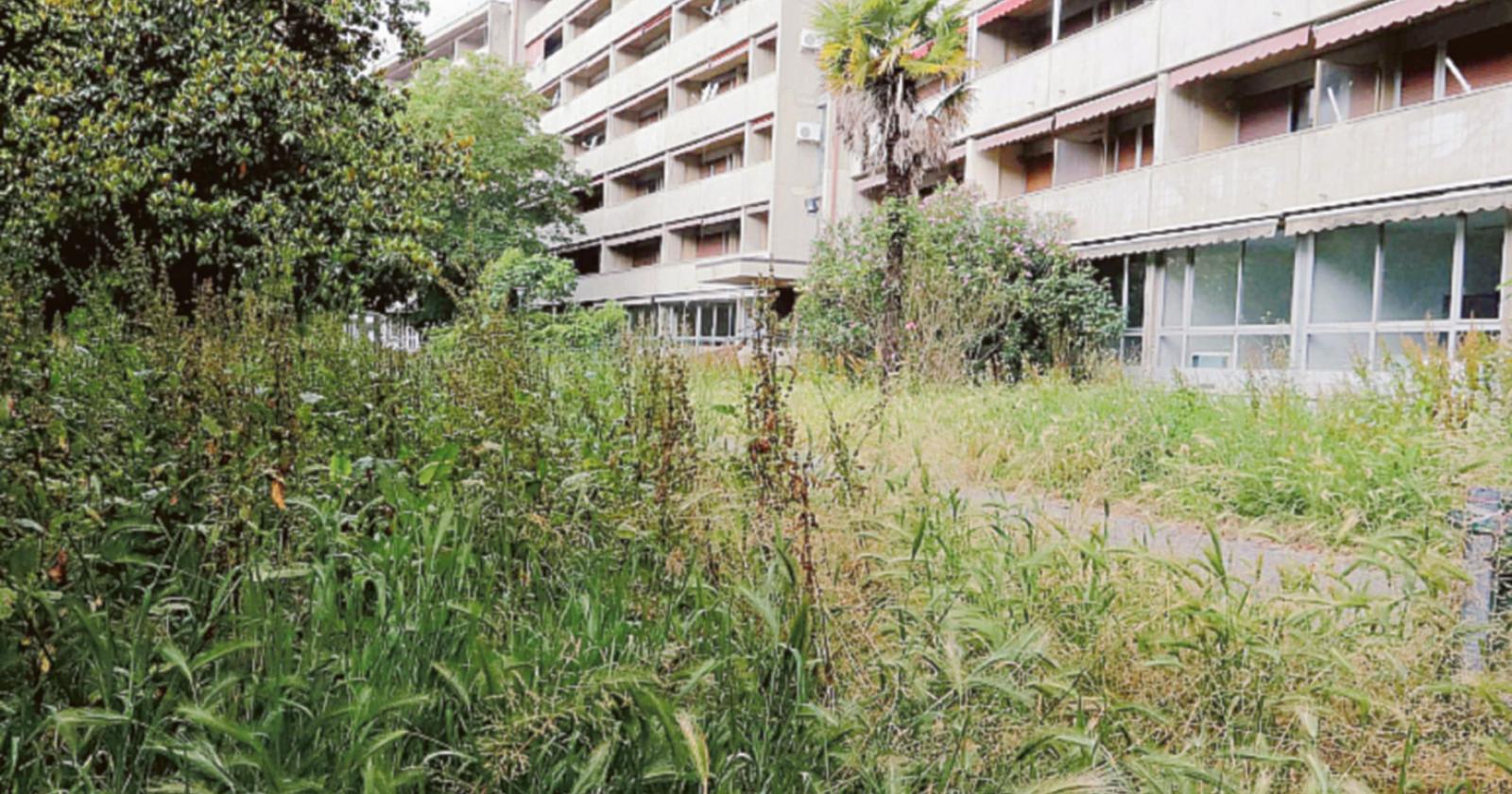 Casa Serena, Asm ripulirà il parco