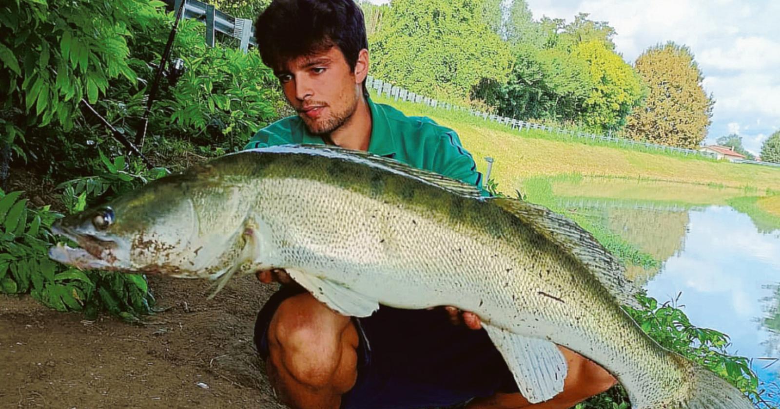 In Adigetto un lucioperca record
