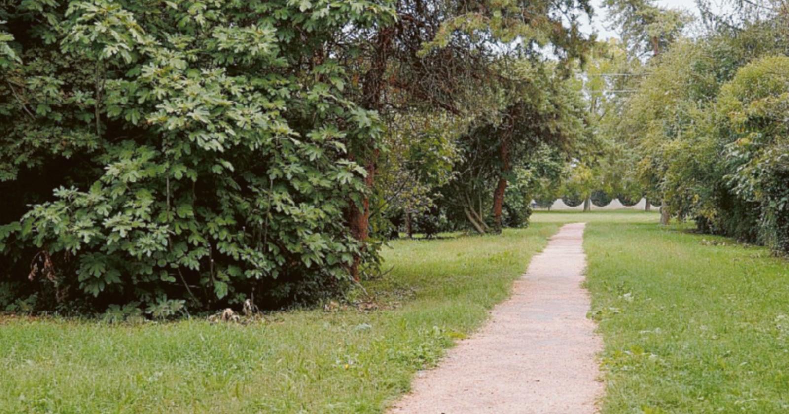Parco Cibotto, nuovi vialetti