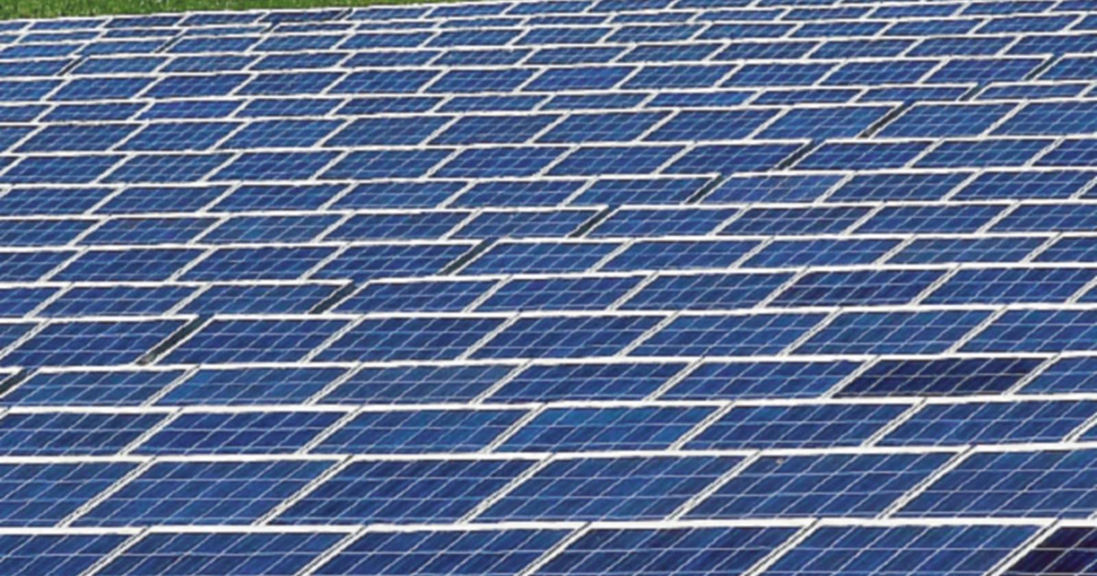 “No al fotovoltaico”: oltre 200 firme