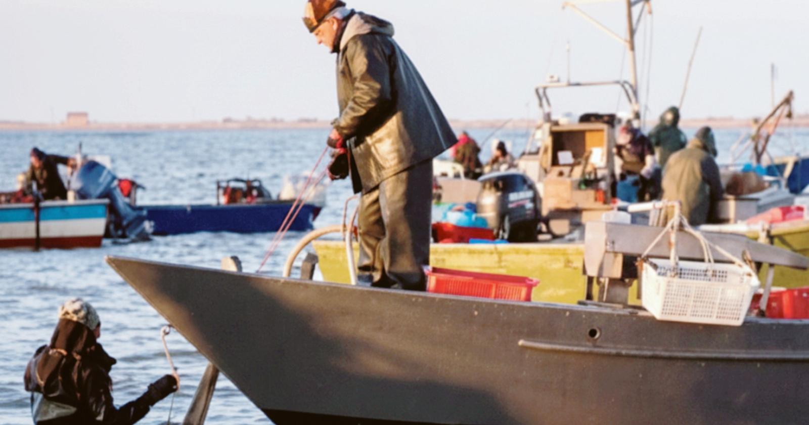 Cinque bandi per pesca e acquacoltura