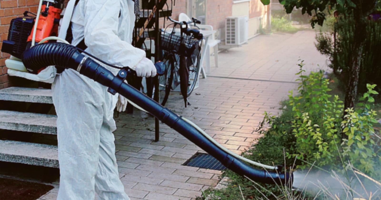 Stanotte disinfestazione: tenere le finestre chiuse