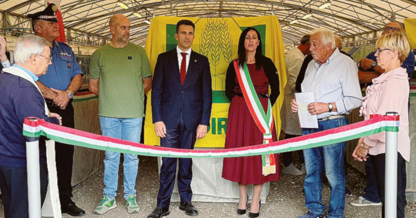 Colombi da grandi numeri