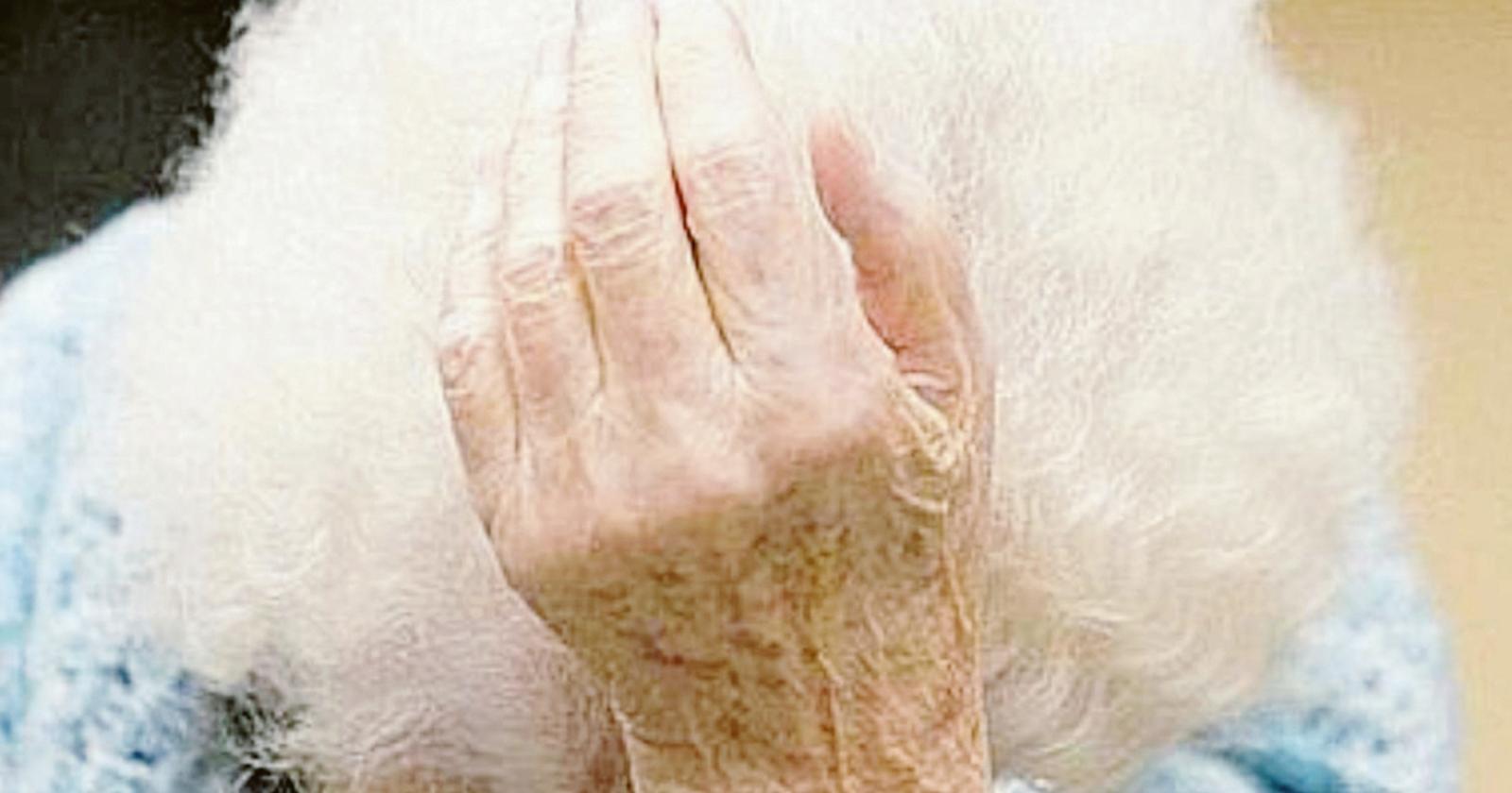 “Botte e minacce ai genitori”