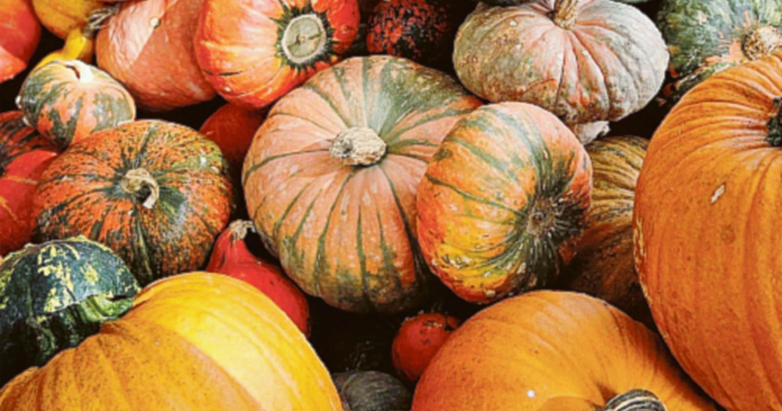 Riscoprire i “Sapori d’autunno”