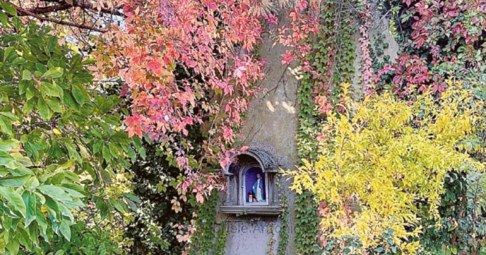 Si è rinnovata la solennità della Vergine 