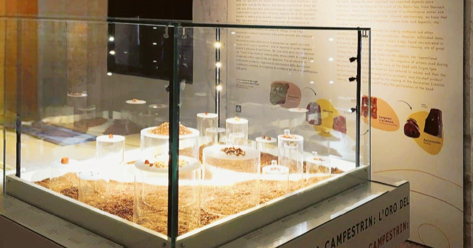 Ambra e storia tra Estonia e Polesine