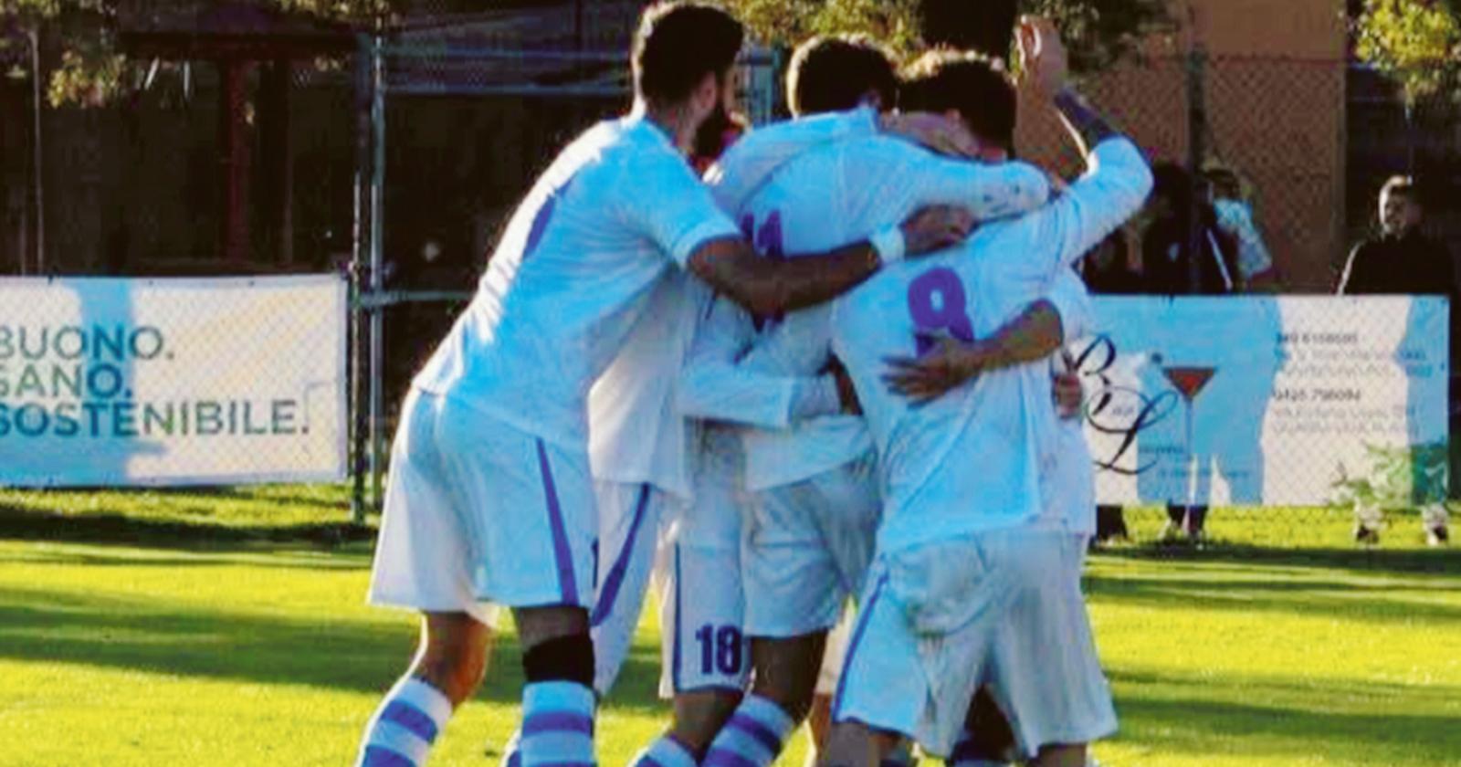 Turchese formica del campionato